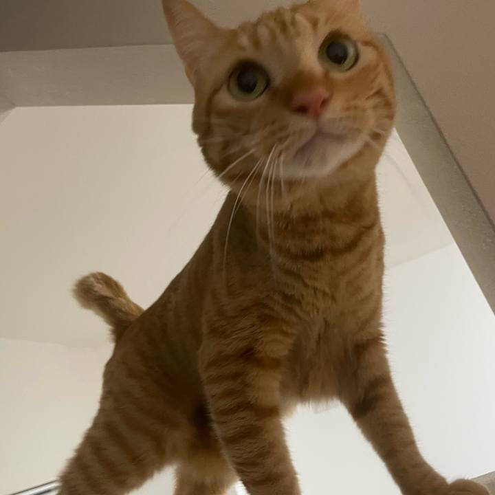 Cd79f827 4211 4453 886c df1b3f03e4fd 1730416390034