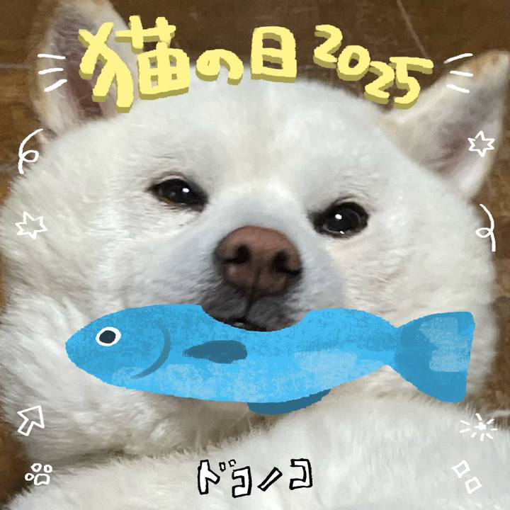 Cd7a0c3f 4a37 42f6 bf6c b3d57adec039 1740227195442