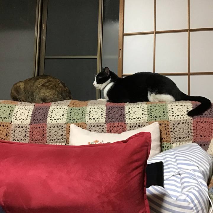 Cd7a54f5 3893 487d 9d11 9ecbe19757b9 1651832246369