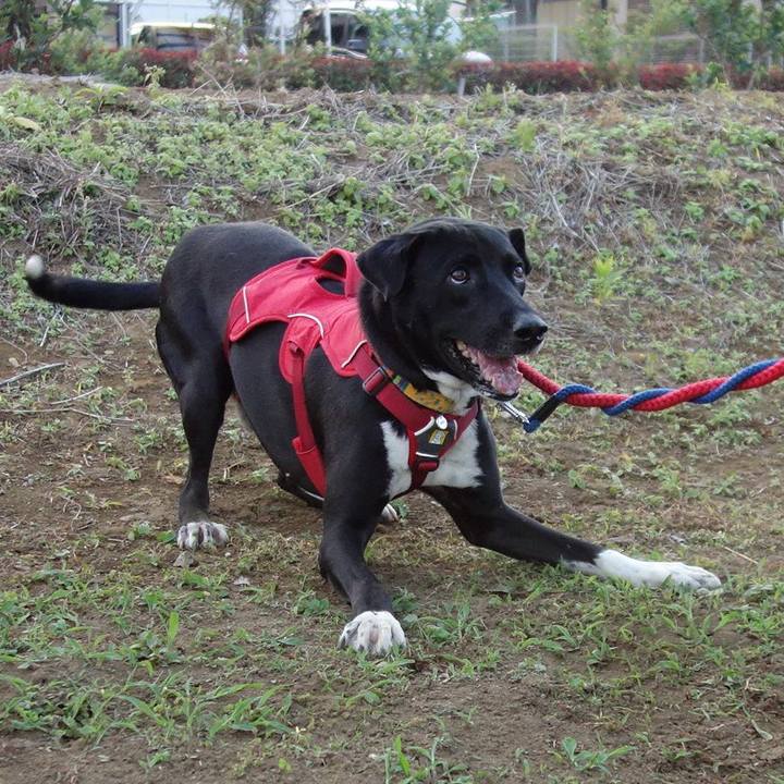 Cd7a69e4 fbdc 4a97 b08c 8e6089b1193c 1591269765911