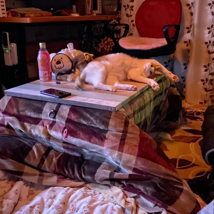 Cd7a7102 d958 4f2a a429 b155a5c4aa36 1578661229151