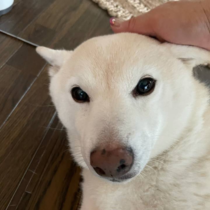 Cd7a99dd 799e 4e39 adf5 146b5694dd2f 1624139227699