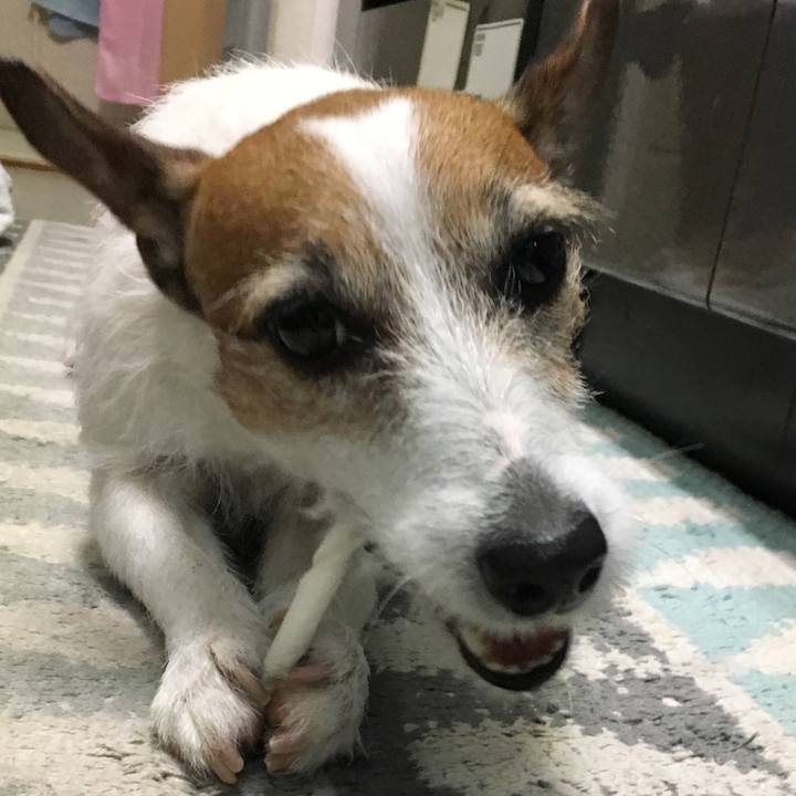 Cd7ab680 110c 4172 a1c2 ffd929eb15e0 1552569067690