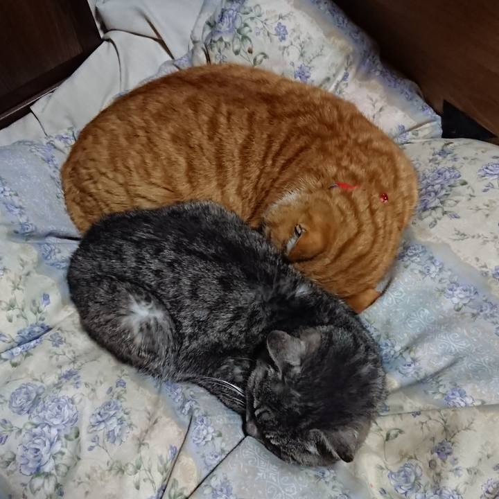 Cd7ab970 6629 4813 92fb 70c285fe4716 1578489071624