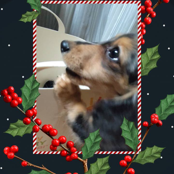 Cd7ad41f b2dd 499d b9dc ef4af21aea06 1703114915195