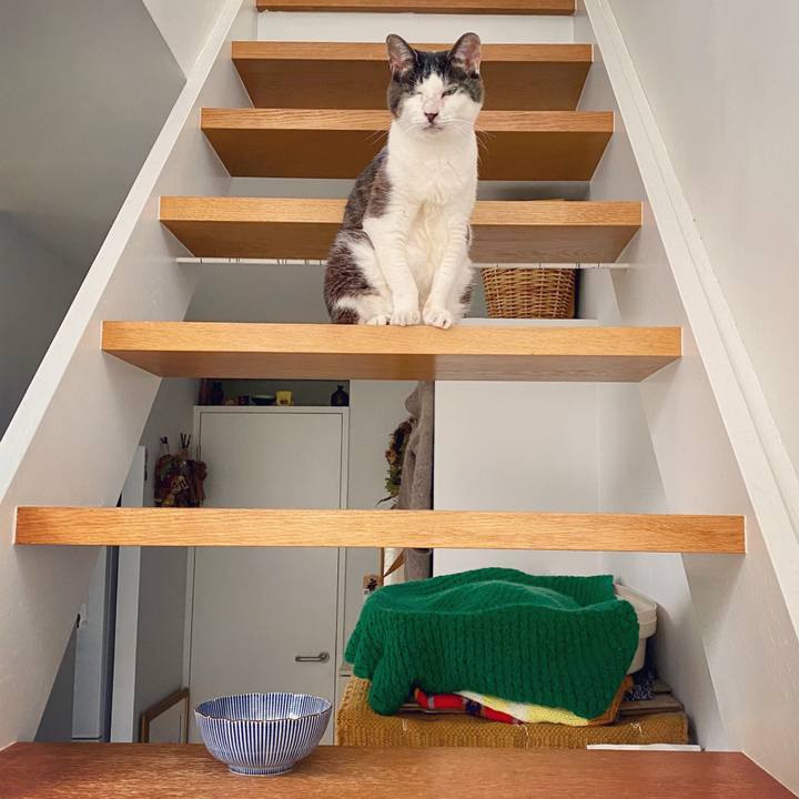 Cd7af699 addc 4e4d a8a2 bda7db405760 1595480883927