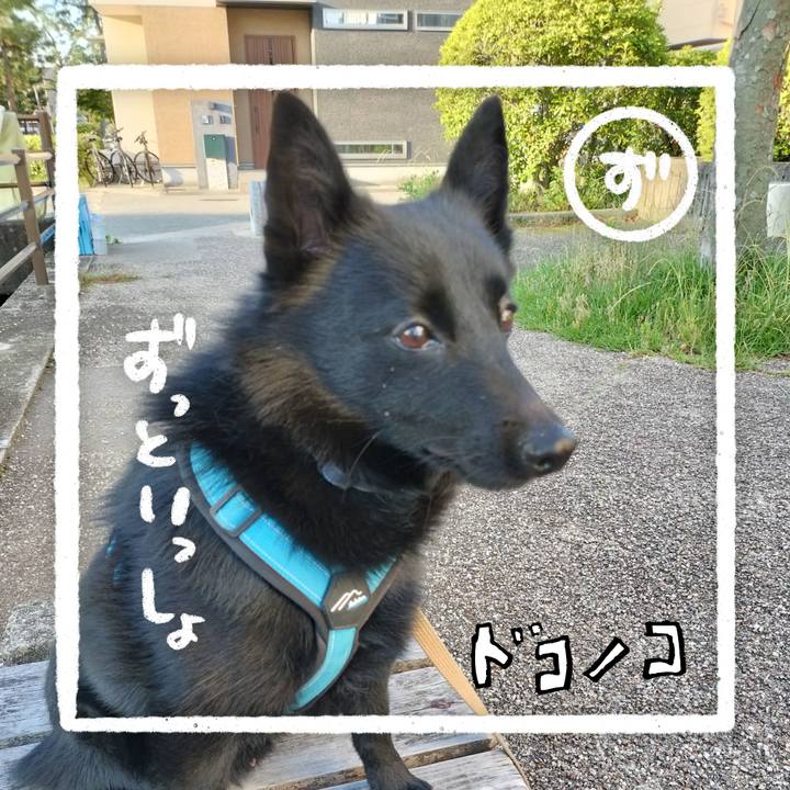 Cd7b3803 9a29 40eb b4bb df51c04541dc 1686003355348