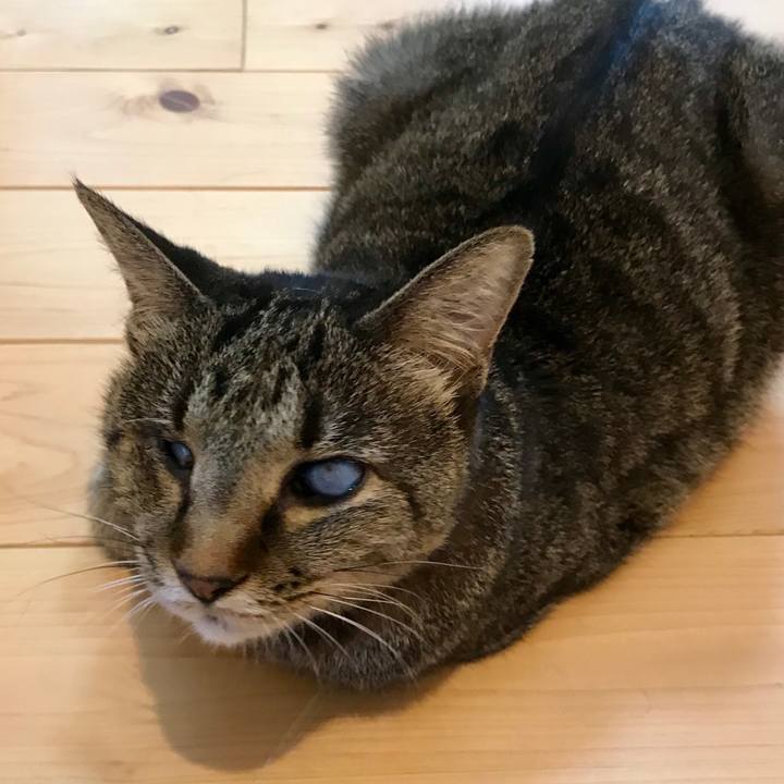 Cd7b7b7a 1d59 4482 94ef ef963674935a 1565671215122