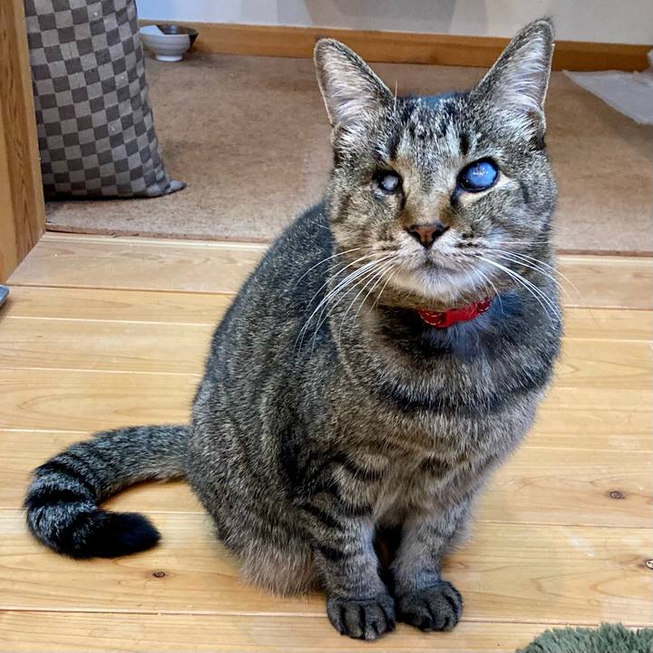 Cd7bbd57 300c 48ec 82ce 6545fb0e03b8 1642726460506