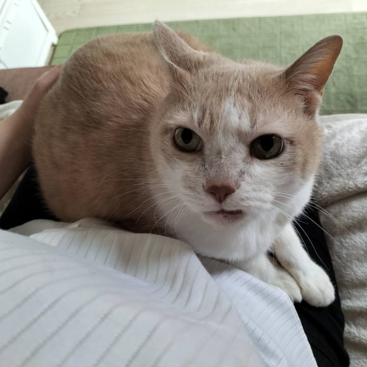 Cd7bbf70 eec0 4f13 88e4 3b803a38f5eb 1637189305496