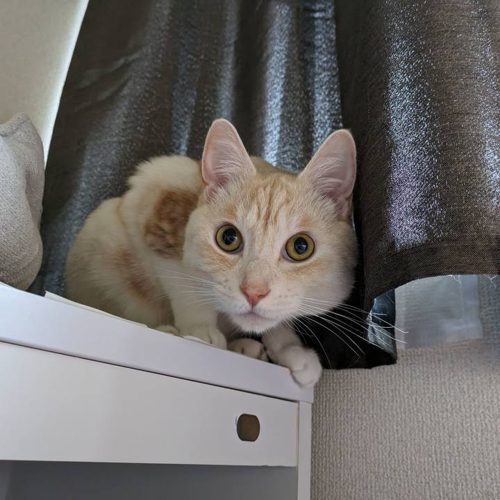 Cd7bc15e b867 404c 8324 448804641922 1687638857889