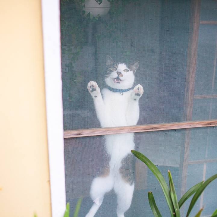 Cd7bea10 572b 4f17 8892 55b657de0037 1572267808354