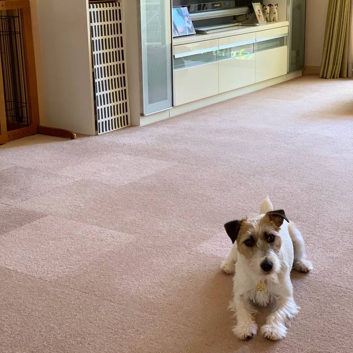 Cd7c2048 e2e9 4fad b6b9 3525e2be0dad 1589174897377