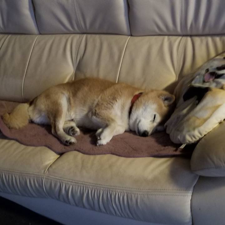 Cd7c2e58 9fd0 48b9 829e 7bb8d0e1735c 1737931966006