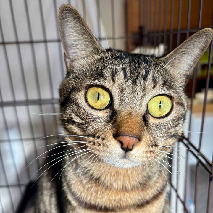 Cd7c9abe 245b 43fd a6dc 5a259a4f243b 1763422136813