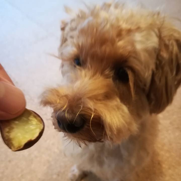 Cd7cceeb ff05 4c91 8c00 a9b749562af9 1538346713411