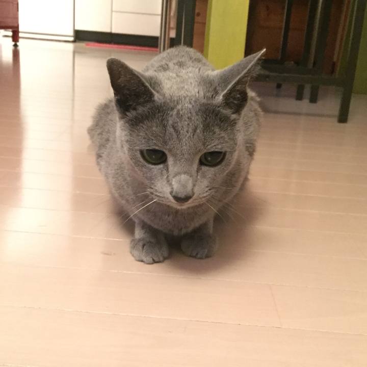 Cd7ce4c8 1135 4bd1 9a29 57e9e9b23230 1547680437784