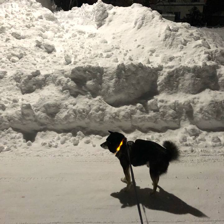 Cd7ce9f2 8020 4a01 8228 d342a0602250 1609816564403