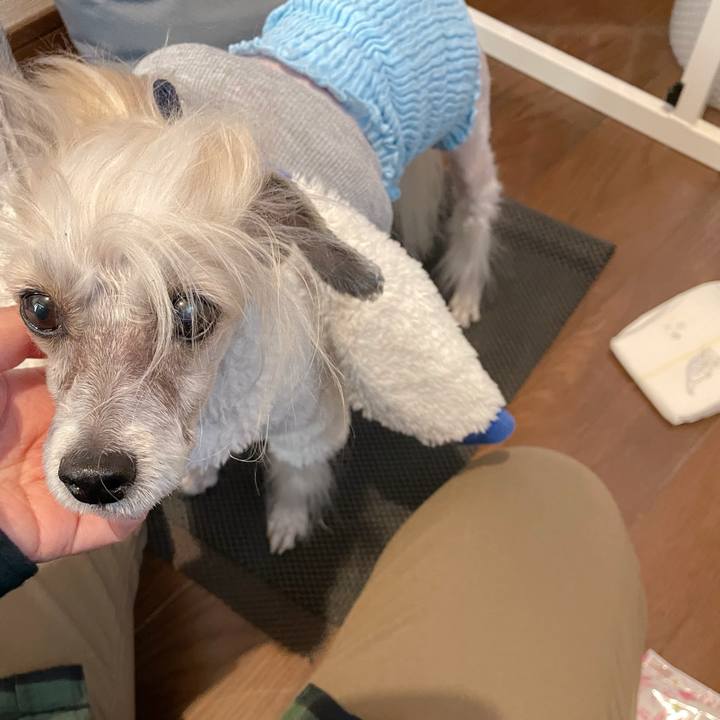 Cd7ceaba 6643 417a a71d 8b029082e02a 1767952302753