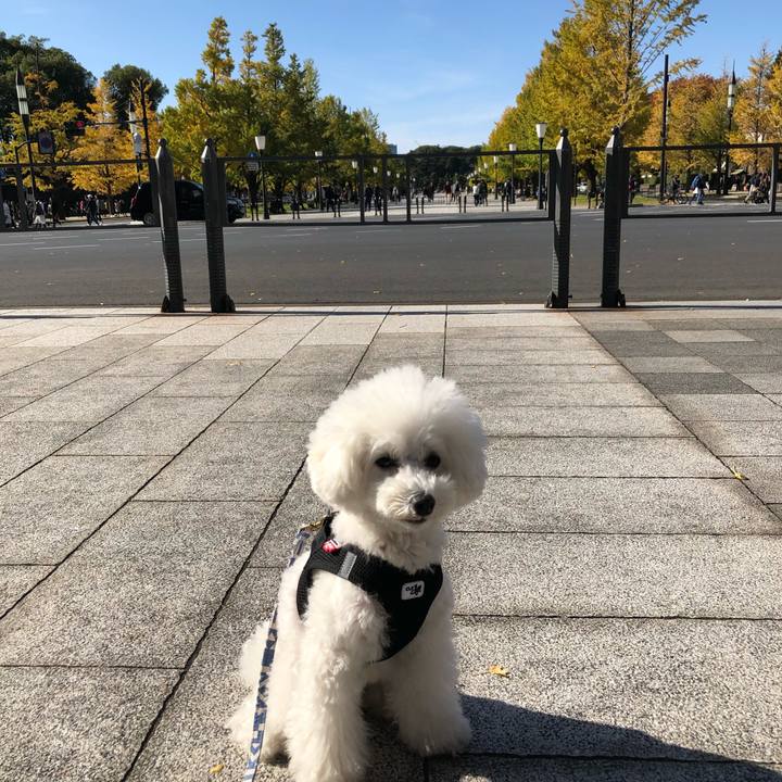 Cd7d1313 f947 4123 bde9 5ba6b3243f27 1574149635456