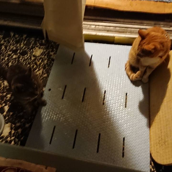 Cd7d466c d012 4870 8b07 be0d5e1d306c 1570700837143