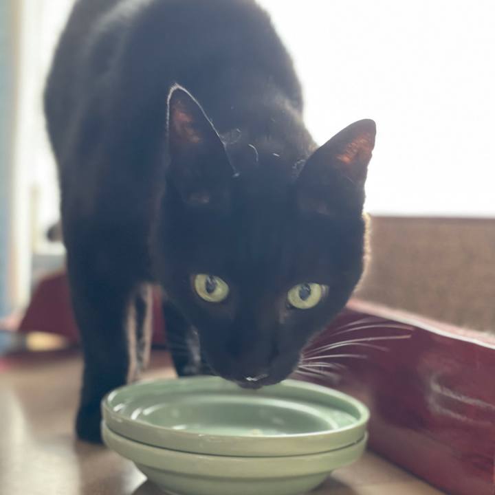 Cd7d4c50 6680 47bf b6e3 a87a2478ae77 1631756300833