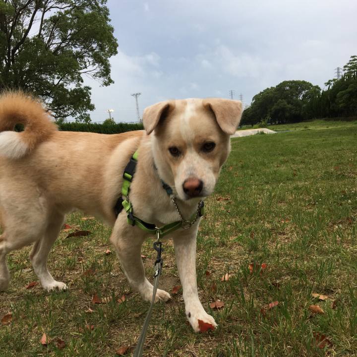 Cd7da61c 2bd3 4f99 a8ae 504b28441bb2 1530786248910