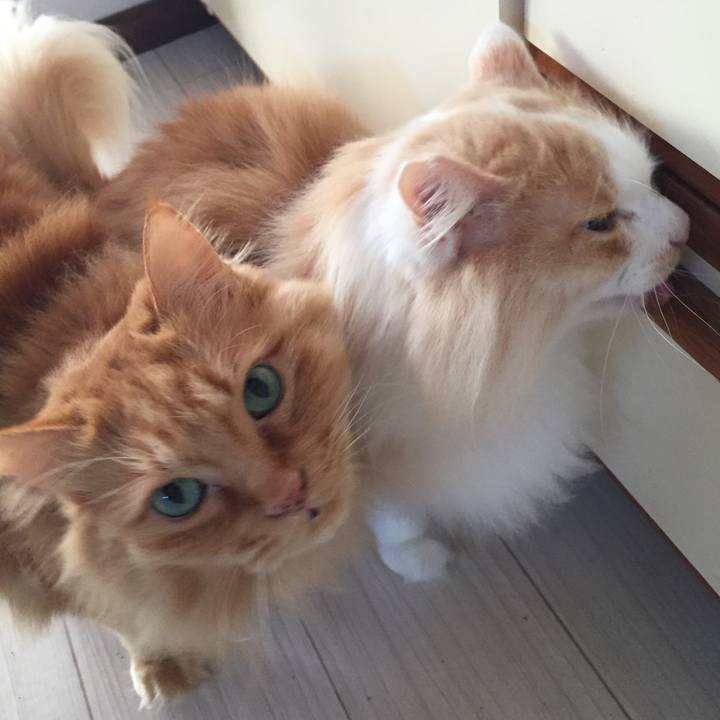 Cd7dbd2d 7f7d 4bad bb66 67cafad2f491 1554242537511