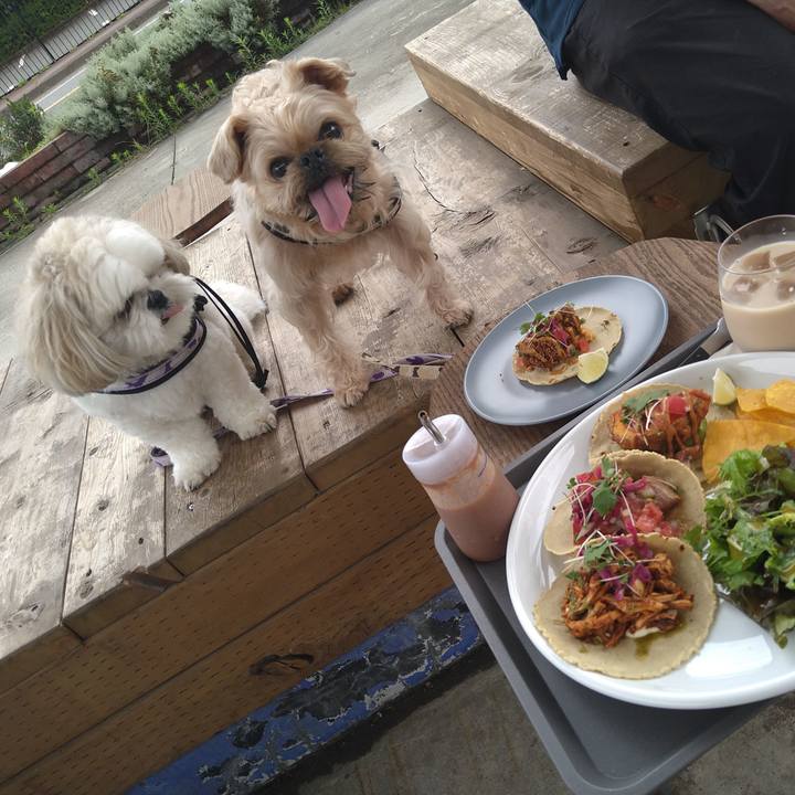 Cd7de9cc fd89 4370 826c cd05d97a87af 1657869043914