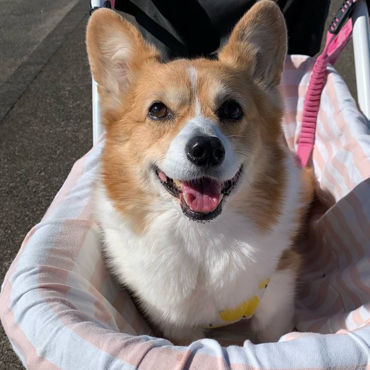 Cd7dec05 07c2 4ea0 bd47 d703cb592f7a 1707621679010