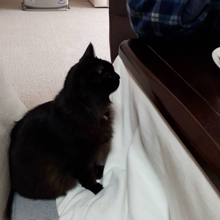 Cd7e087c 4f7b 4178 bb70 69cc93b3592e 1518481609389