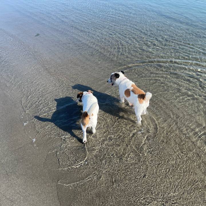 Cd7e2e73 d7fb 4245 ae12 e88a7e3f7b78 1688598164640