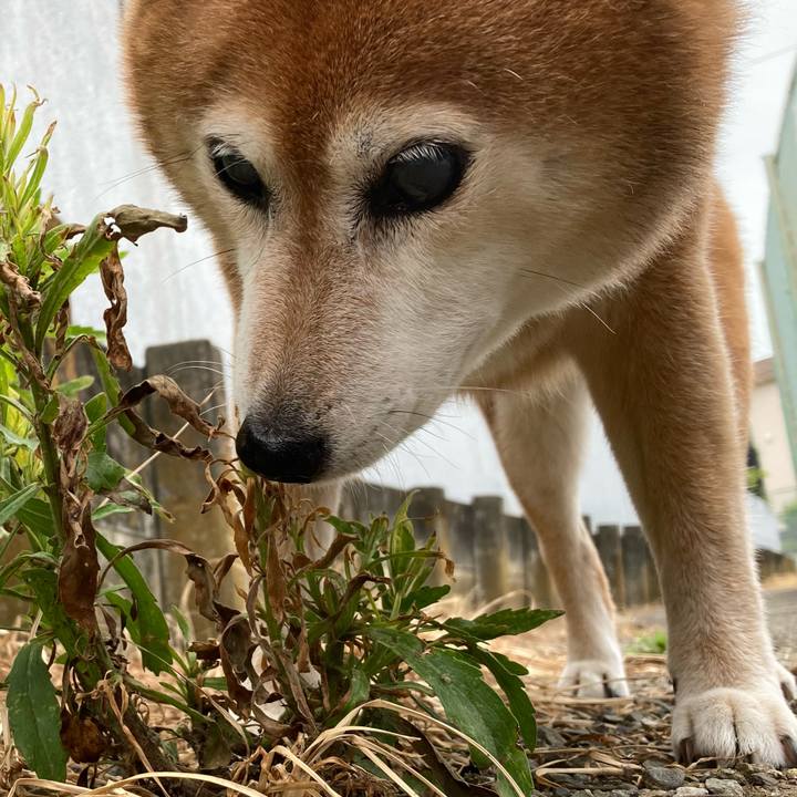 Cd7e6681 d901 403b a937 2cfcde9fa50a 1688792412852