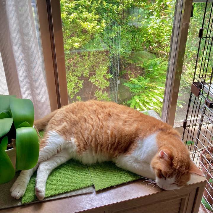 Cd7e7427 4a85 4925 a62f ce7f8348d4cc 1692238340794