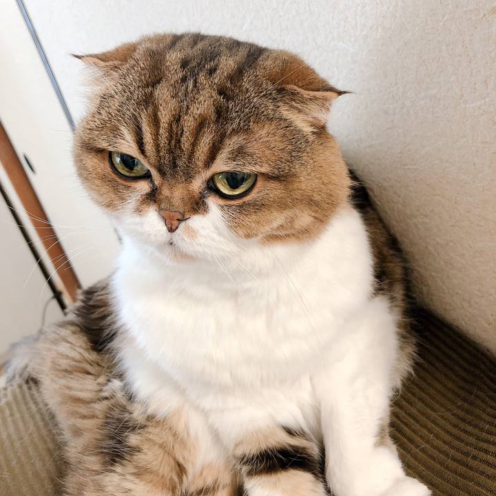 Cd7ec448 d0ca 4b91 93a3 e6e48ab5ccec 1584760105615