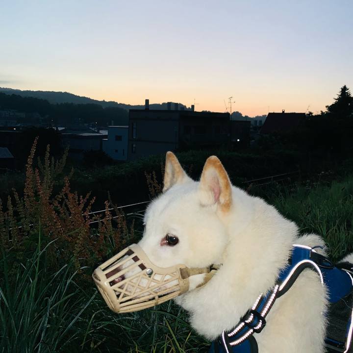 Cd7ecbf4 f169 42fa a694 b4141deb6e37 1627415064789