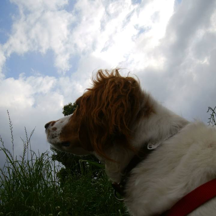 Cd7edbc8 7099 4106 a7cc b85844fb4de1 1527812449488