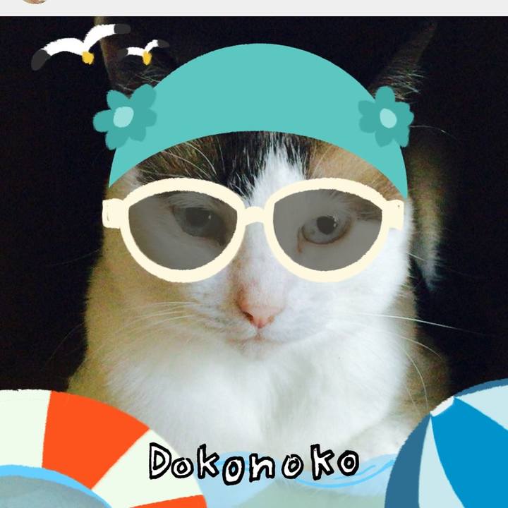 Cd7ee5d4 0bef 41d9 9142 e03aa1836290 1723199002146