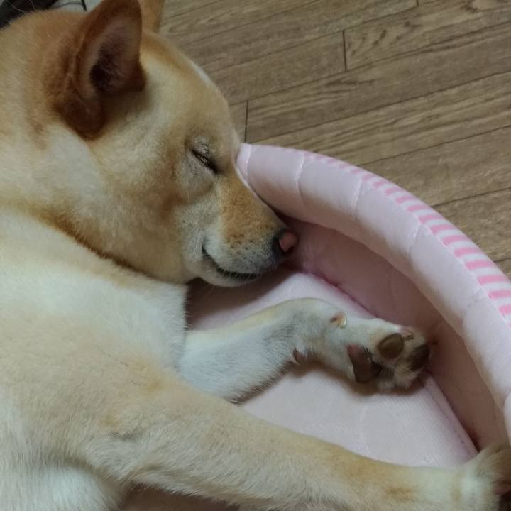 Cd7efcfb e2e9 4736 9aa0 f206fdbfce5a 1594218701949