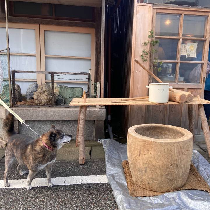 Cd7f0f72 0d6f 4822 8216 25525e29bc98 1673151792680