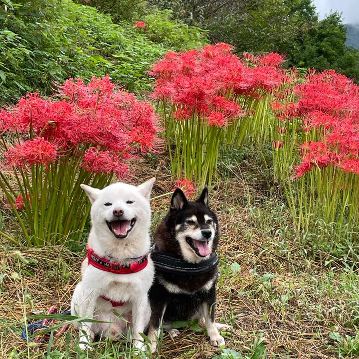 Cd7f25b1 c596 4d2e 9897 7abcfa98b99b 1758857286446