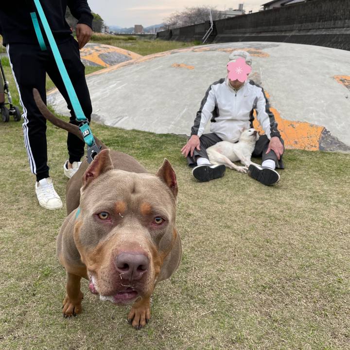 Cd7f9af7 e7cb 455f 95b0 98b9ad76ddc0 1680183519339