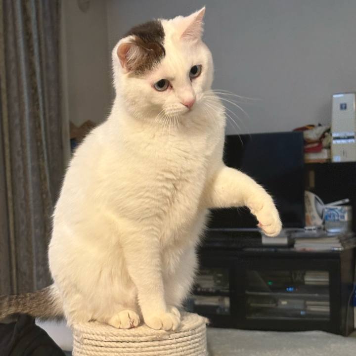 Cd7fab8b accc 415a a67d 0add6fd11050 1769730689335