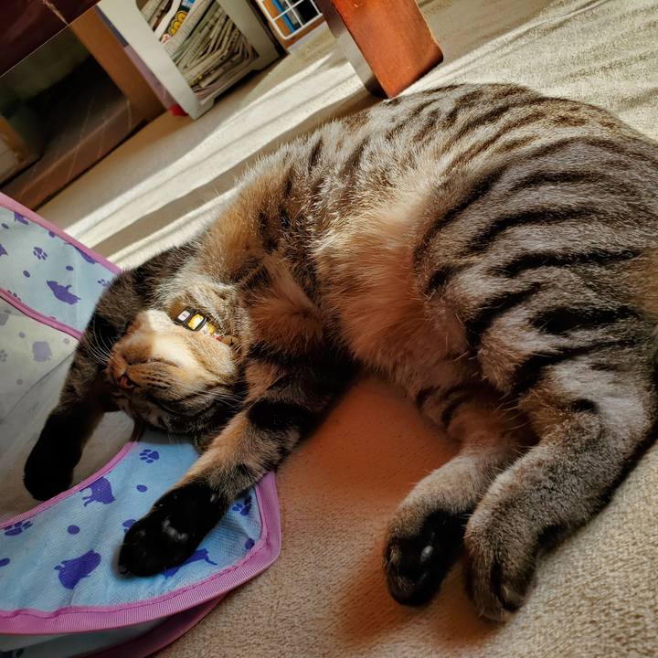 Cd7fbecb dbac 4b65 a4d3 9188e305b376 1701857978346