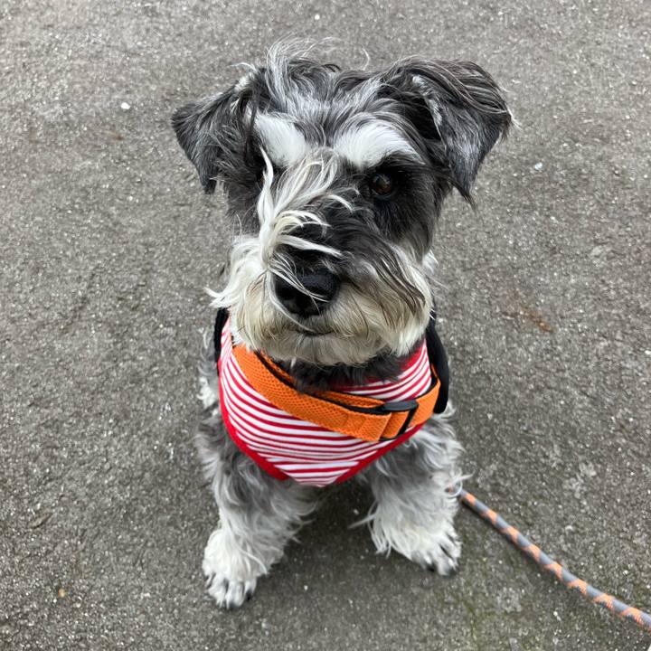 Cd7fd4b9 b206 4956 8c22 f845b705cfb8 1748646597683