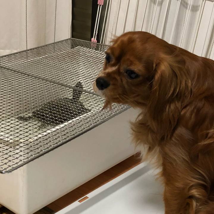 Cd7fd8f3 58f1 4daa b057 6ada65b29610 1525731857132