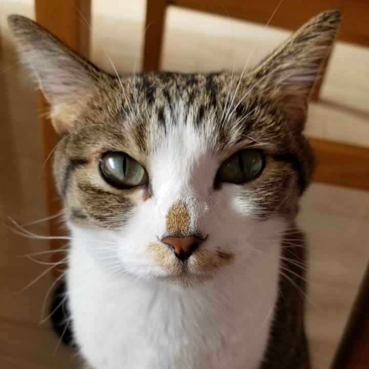 Cd7fecd0 32de 4867 ae1c 20dd453cdbd2 1543758860217