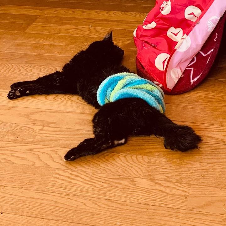 Cd7fee4d e10c 4e51 9570 1a797a6316dc 1647596364676