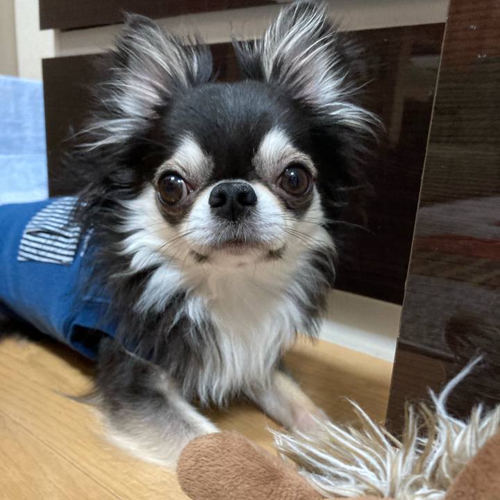 Cd7ff230 0741 4887 985b 61b9b9b57ac4 1681571768638