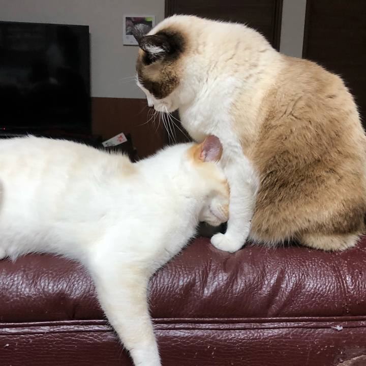 Cd7ff71c b0c4 4e71 b23c ba6c6ccfa720 1525871492408